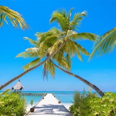 金沙乐娱app下载官网版