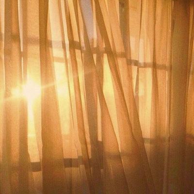 狗万manbet手机app下载