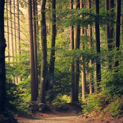 欧宝娱乐APP官方下载