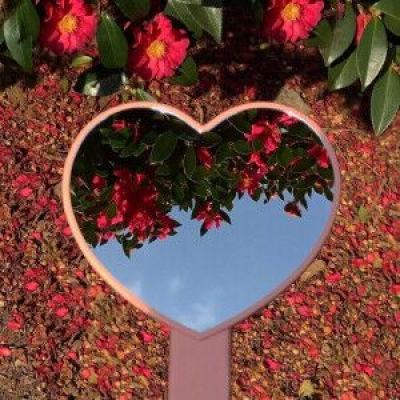 yabo888vipapp下载截图