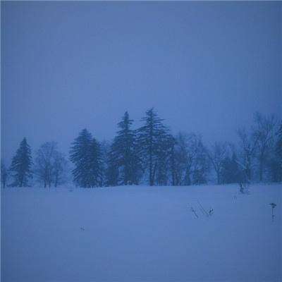 爱游戏·APP下载手机版截图