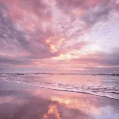 游戏官网平台入口