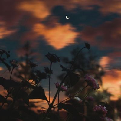 威尼斯欢乐娱人棋牌截图