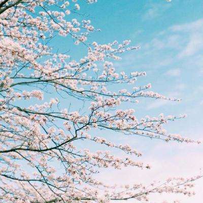 亚搏平台最新版app下载